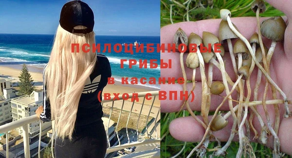 PSILOCYBIN Карпинск