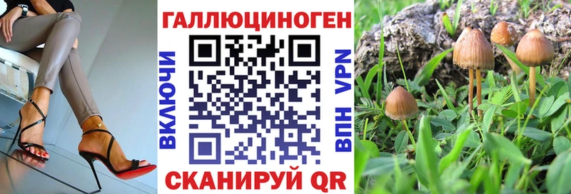 Купить закладки Егорьевск Галлюциногенные грибы Cubensis