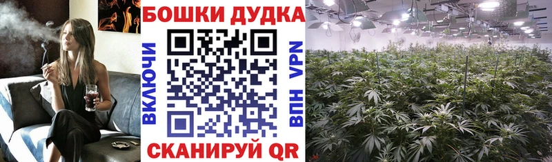 Конопля Ganja  Купить где  Егорьевск 